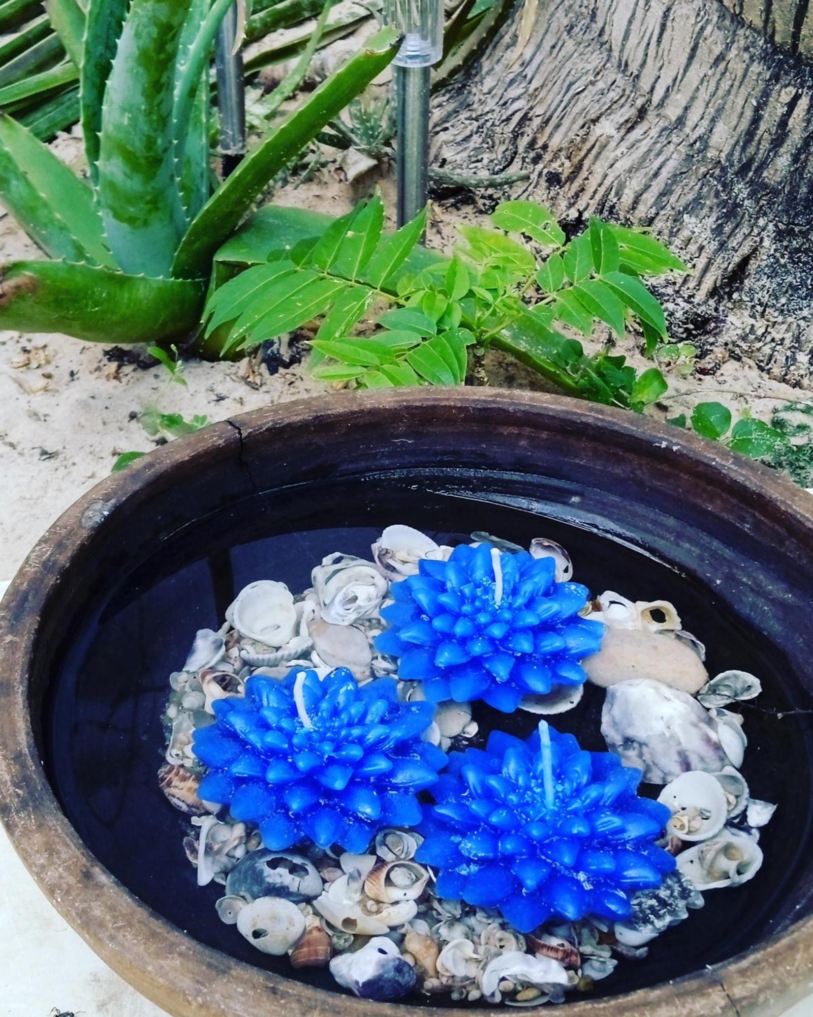 Chale Da Sereia Apart-Hotel Com Cozina Piscina Oasis No Centro De Jericoacoara Ngoại thất bức ảnh